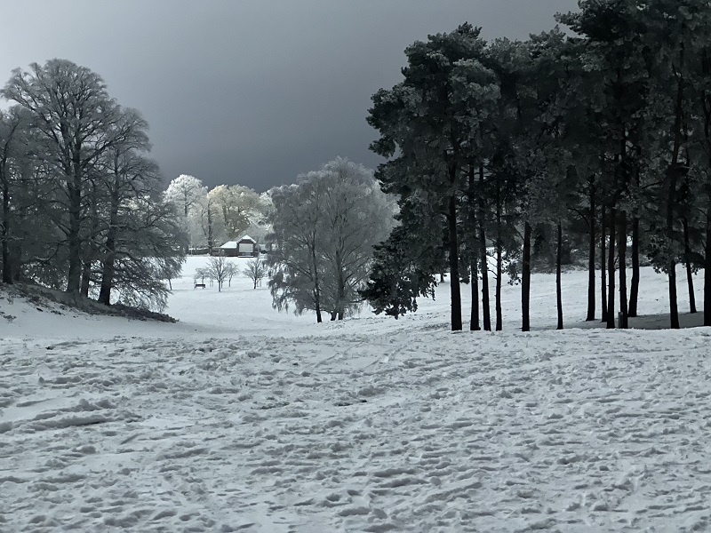 Snow scene at night